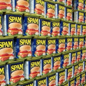 Me Spammer Practical Help For Your Digital Life® 