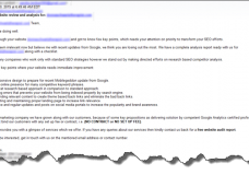 seo-form-email-solicitation-example-screenshot-228x160.png